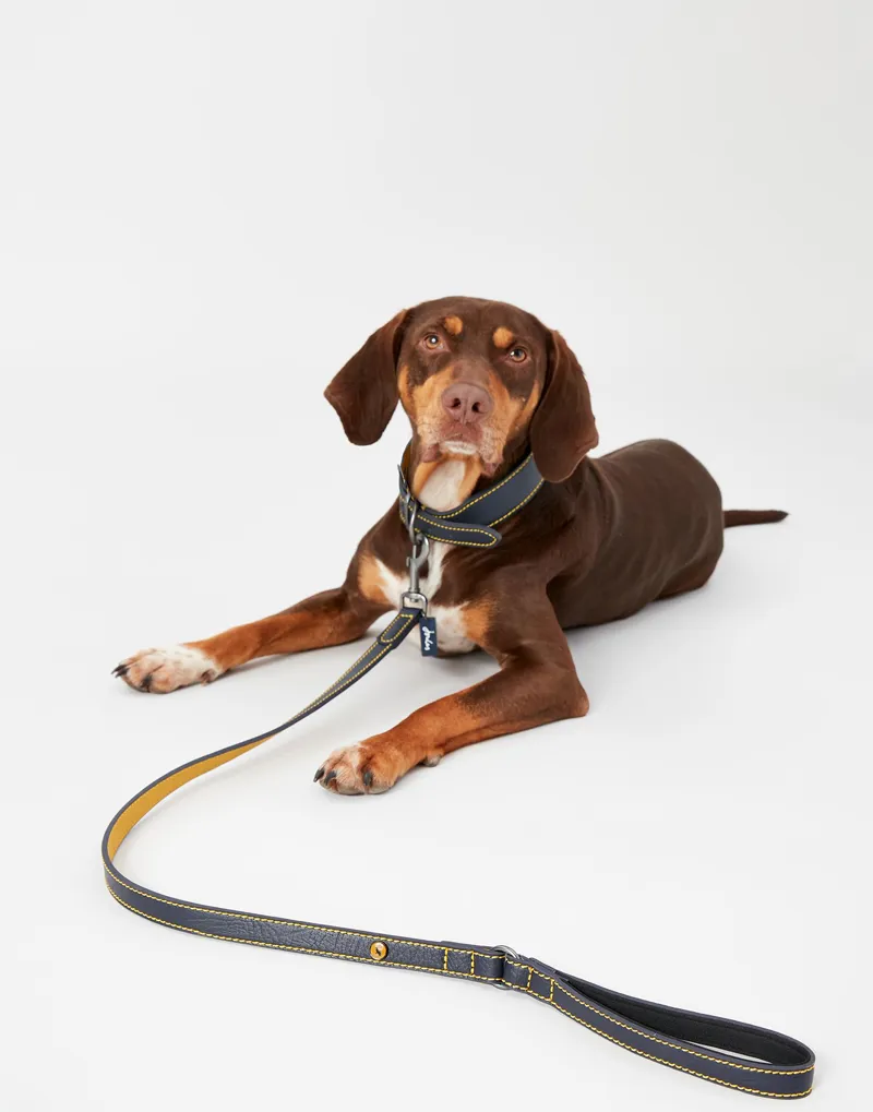 Joules Leather Dog Lead Navy-4